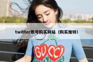 twitter账号购买网站（购买推特）