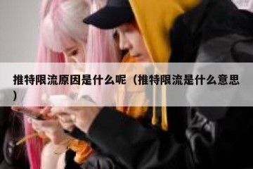 推特限流原因是什么呢（推特限流是什么意思）