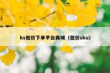 ks低价下单平台商城（低价sku）