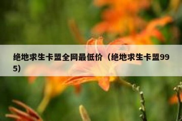 绝地求生卡盟全网最低价（绝地求生卡盟995）