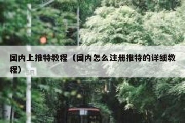 国内上推特教程（国内怎么注册推特的详细教程）