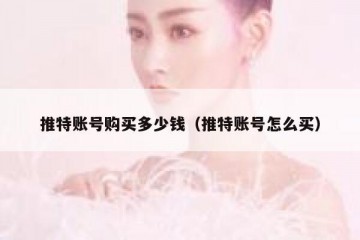 推特账号购买多少钱（推特账号怎么买）