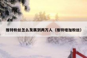 推特粉丝怎么发展到两万人（推特增加粉丝）