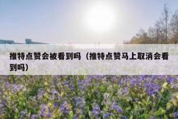 推特点赞会被看到吗（推特点赞马上取消会看到吗）