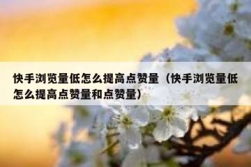 快手浏览量低怎么提高点赞量（快手浏览量低怎么提高点赞量和点赞量）