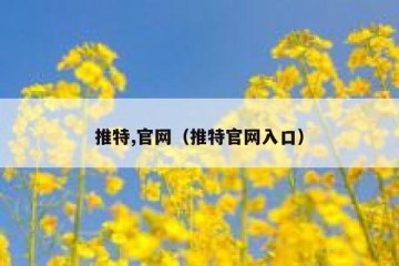 推特,官网（推特官网入口）