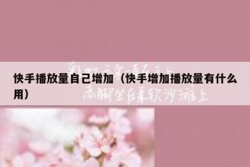 快手播放量自己增加（快手增加播放量有什么用）