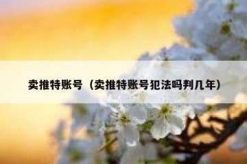 卖推特账号（卖推特账号犯法吗判几年）