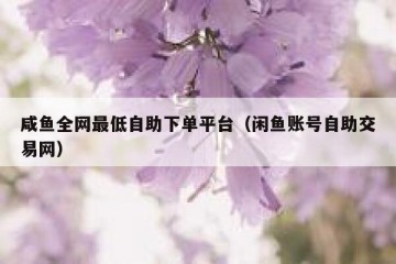 咸鱼全网最低自助下单平台（闲鱼账号自助交易网）