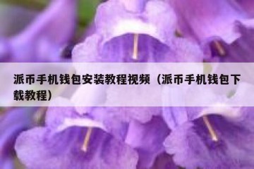 派币手机钱包安装教程视频（派币手机钱包下载教程）