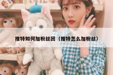 推特如何加粉丝团（推特怎么加粉丝）