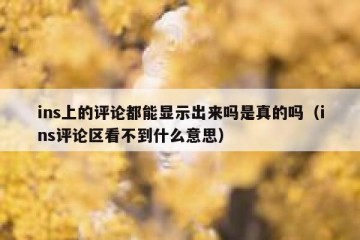 ins上的评论都能显示出来吗是真的吗（ins评论区看不到什么意思）