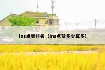 ins点赞排名（ins点赞多少算多）