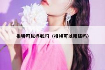 推特可以挣钱吗（推特可以赚钱吗）