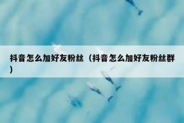 抖音怎么加好友粉丝（抖音怎么加好友粉丝群）