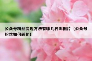 公众号粉丝变现方法有哪几种呢图片（公众号粉丝如何转化）