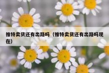 推特卖货还有出路吗（推特卖货还有出路吗现在）