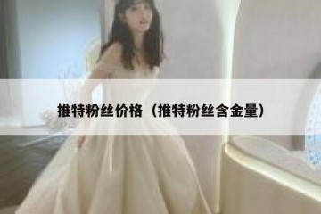 推特粉丝价格（推特粉丝含金量）