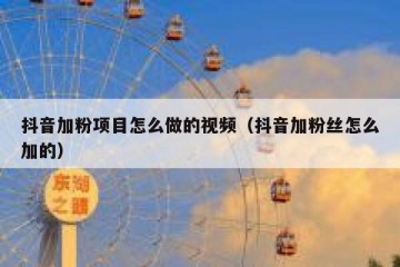 抖音加粉项目怎么做的视频（抖音加粉丝怎么加的）