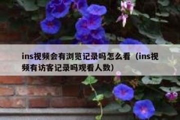 ins视频会有浏览记录吗怎么看（ins视频有访客记录吗观看人数）