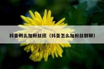 抖音则么加粉丝团（抖音怎么加粉丝群聊）
