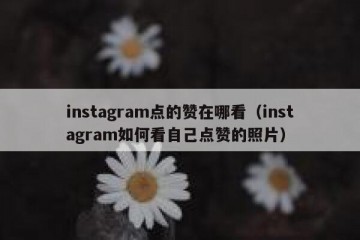 instagram点的赞在哪看（instagram如何看自己点赞的照片）