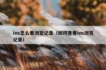 ins怎么看浏览记录（如何查看ins浏览记录）