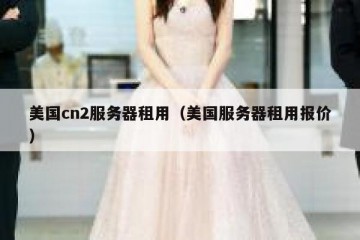 美国cn2服务器租用（美国服务器租用报价）