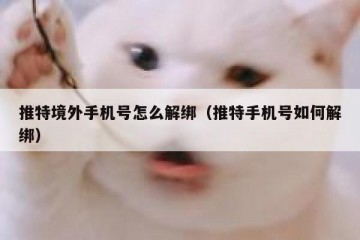 推特境外手机号怎么解绑（推特手机号如何解绑）