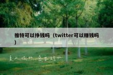推特可以挣钱吗（twitter可以赚钱吗）