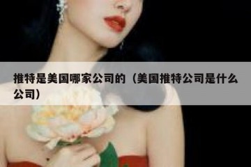 推特是美国哪家公司的（美国推特公司是什么公司）