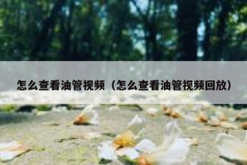 怎么查看油管视频（怎么查看油管视频回放）