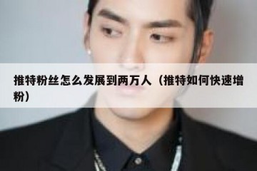 推特粉丝怎么发展到两万人（推特如何快速增粉）