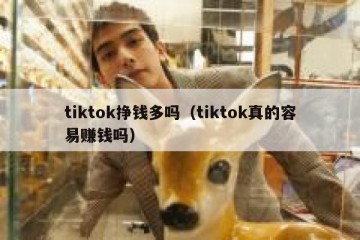 tiktok挣钱多吗（tiktok真的容易赚钱吗）