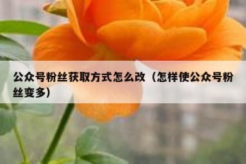 公众号粉丝获取方式怎么改（怎样使公众号粉丝变多）