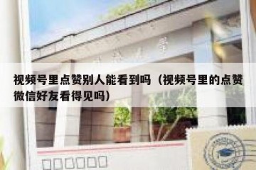 视频号里点赞别人能看到吗（视频号里的点赞微信好友看得见吗）