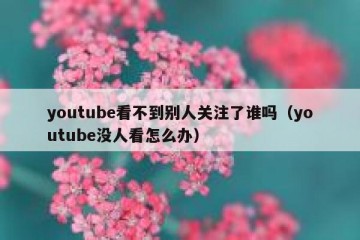 youtube看不到别人关注了谁吗（youtube没人看怎么办）