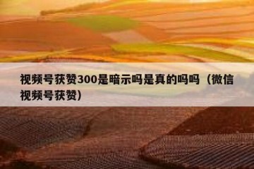 视频号获赞300是暗示吗是真的吗吗（微信视频号获赞）
