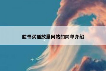 脸书买播放量网站的简单介绍
