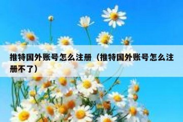 推特国外账号怎么注册（推特国外账号怎么注册不了）