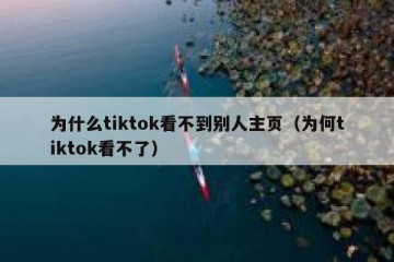 为什么tiktok看不到别人主页（为何tiktok看不了）