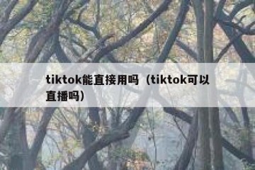 tiktok能直接用吗（tiktok可以直播吗）