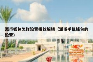 派币钱包怎样设置指纹解锁（派币手机钱包的设置）