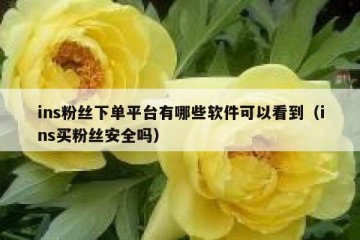 ins粉丝下单平台有哪些软件可以看到（ins买粉丝安全吗）