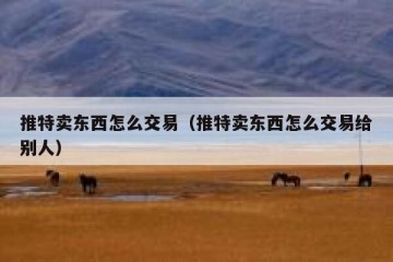 推特卖东西怎么交易（推特卖东西怎么交易给别人）