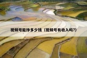 视频号能挣多少钱（视频号有收入吗?）