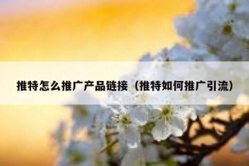 推特怎么推广产品链接（推特如何推广引流）