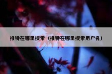 推特在哪里搜索（推特在哪里搜索用户名）