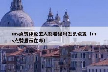 ins点赞评论主人能看见吗怎么设置（ins点赞显示在哪）