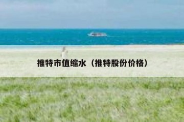 推特市值缩水（推特股份价格）